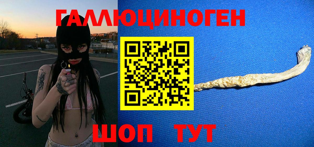 Псилоцибиновые грибы GOLDEN TEACHER  Вход с VPN  Владикавказ 